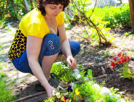 Gardening - mature woman planting flowers in backyard garden