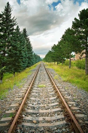 Railway track in perspective with trees on sidesの写真素材