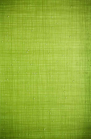 Texture green backdrop - tile wallの写真素材