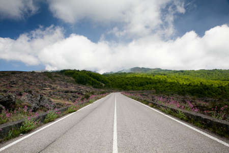 Road blue sky with white clouds and green landscapeの写真素材