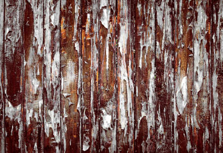 Wood grunge vintage texture backgroundの写真素材