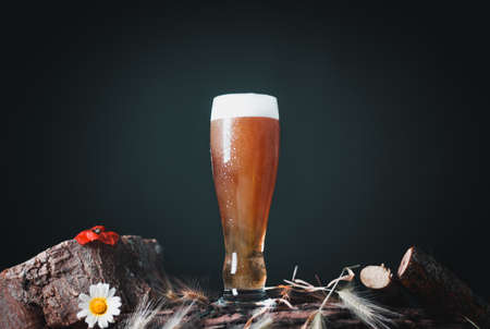 beer mug on wooden trunk