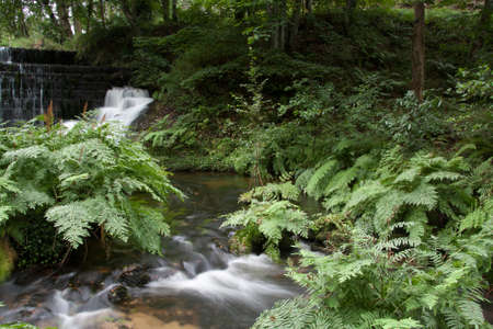 A waterfall in the middle of the forest. Galicia (Spain)