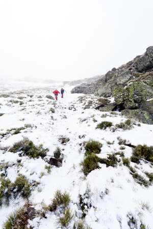 Two hikers in a snowed mountainの写真素材
