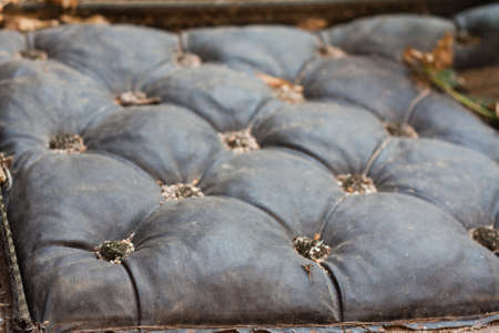 And old seat made of black leatherの写真素材