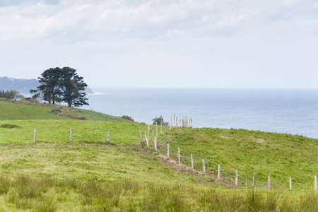 Fences and trees by the sea and cloudy sky in green meadow in Asturias, Spainの写真素材