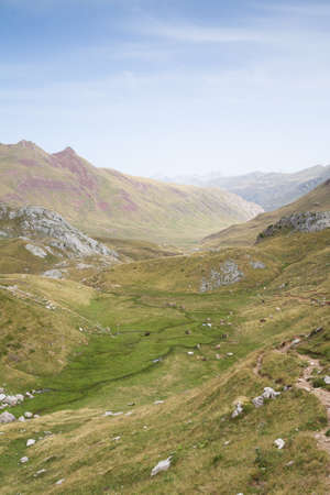River on meadow amongst mountain valley  Aguas Tuertas Valley  Spanish Pyreneesの写真素材