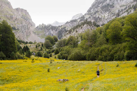 A woman is walking in Zuriza's Valley, Spanish Pirineosの写真素材