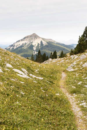 A path leading to a mountain in Zuriza's Valley, Spanish Pirineosの写真素材