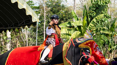 A traditional dancer is riding a giant elephant doll at a traditional Javanese festival. The...