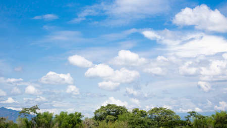 Green scenery with trees and blue sky background with beautiful cloudsの写真素材