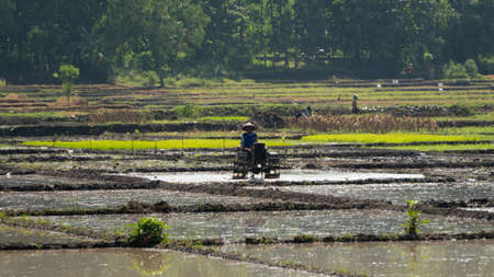 Farmers are plowing the fields using tractors, one of the modern technologies in agriculture to accelerate the planting process betterのeditorial素材
