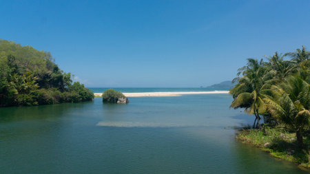Serene tropical landscape featuring a tranquil lagoon merging with a pristine sandy beach and ocean, framed by vibrant palm trees and lush jungle under a clear blue sky. Ideal for travel and nature themes.の写真素材