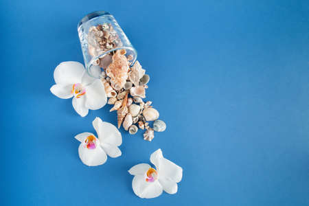 Aesthetic summer minimal concept. Spilled sea shells and white flowers on the blue background.の写真素材