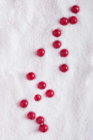 Christmas red berries on the snow. Creative bright pattern. Minimal flat lay concept. Natural holly christmas plant.の写真素材