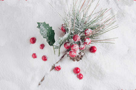 Holly plant covered with white snow with red berries. Flat lay nature concept.の写真素材