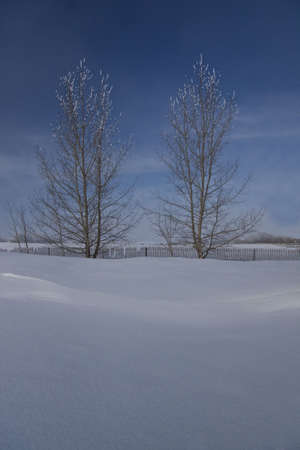 A serene winter landscapeの写真素材