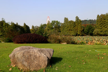 The park sceneryの写真素材