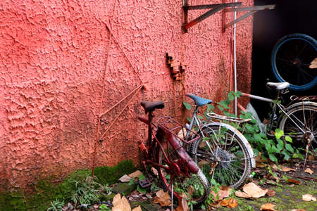 There are many colorful bicycles along the roadの写真素材