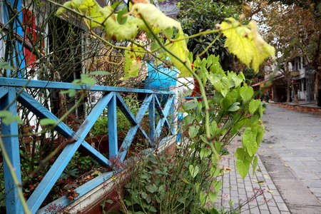The park is full of beautiful green grass and trees, people can have a good rest hereの写真素材