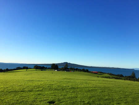 This is a beautiful view of New Zealand, with green grass and blue skyの写真素材