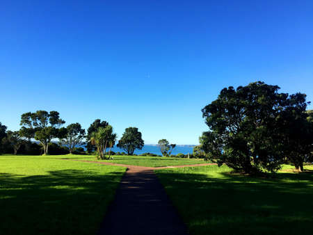 This is a beautiful view of New Zealand, with green grass and blue skyの写真素材