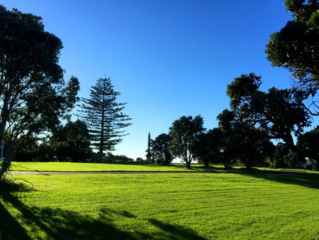beautiful view of New Zealand, with green grass and blue skyの写真素材