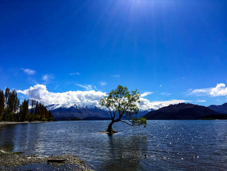 beautiful view of New Zealandの写真素材