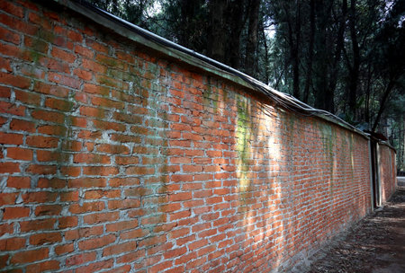 There is a brick wall in the parkの写真素材