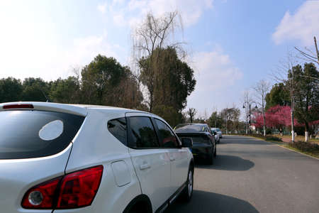 The park goers parked their cars on both sides of the roadの写真素材