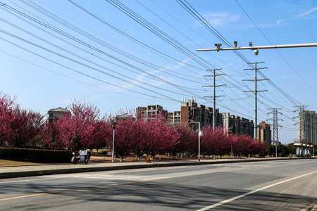 There are many such high-voltage power lines on the outskirts of the cityの写真素材