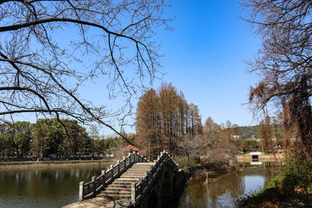 There is a Chinese arched bridge over the lake in the parkの写真素材