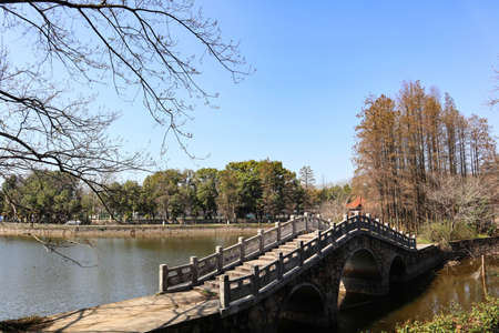 There is a Chinese arched bridge over the lake in the parkの写真素材