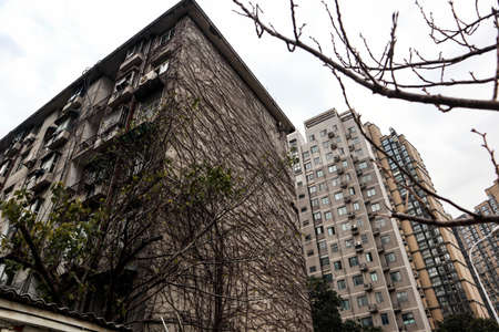 The skyscrapers in these cities are houses and office buildingsの写真素材