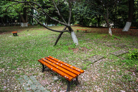 This is a chair for people to rest in the parkの写真素材