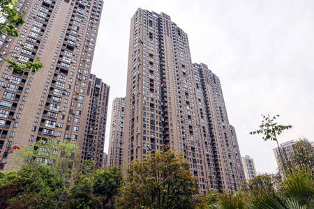 This is a beautiful garden view in a residential area