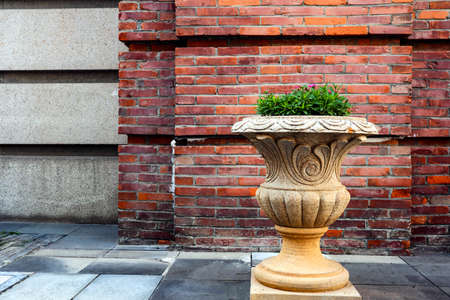 green plants in front of the old buildingの写真素材