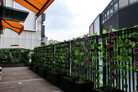 decorative flowers along the road in the cityの写真素材