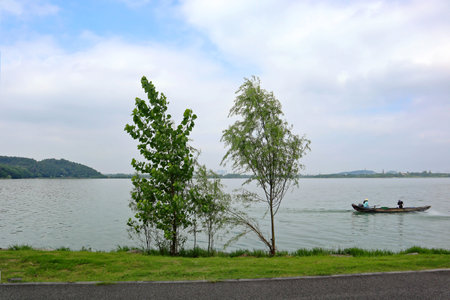beautiful view of a lush park in Chinaの写真素材