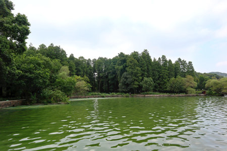 beautiful view of a lush park in Chinaの写真素材