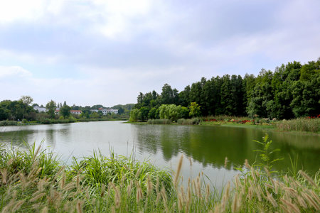 beautiful view of a lush park in Chinaの写真素材