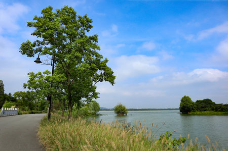 beautiful view of a lush park in Chinaの写真素材