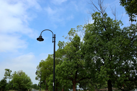 beautiful view of a lush park in Chinaの写真素材