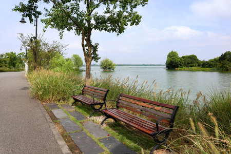 beautiful view of a lush park in Chinaの写真素材