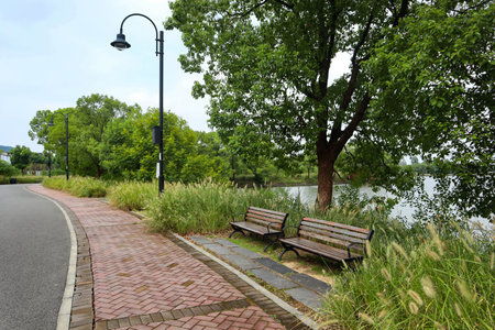 beautiful view of a lush park in Chinaの写真素材