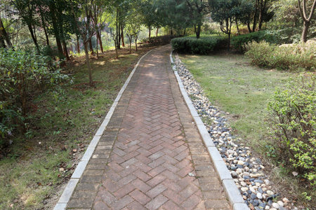 flagstone road in a park in Chinaの写真素材