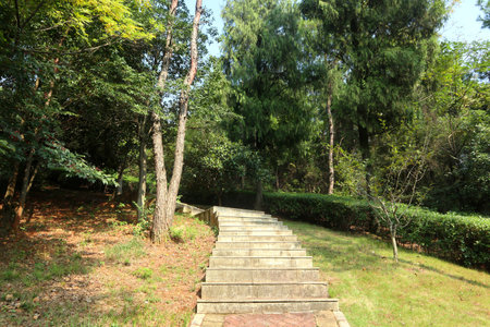flagstone road in a park in Chinaの写真素材