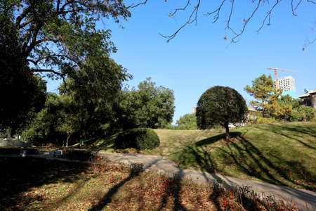 View of Sydney Central Park.
