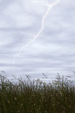 Storm Sky With Lighting Over Tall Grass.
