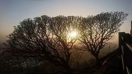 Nature sceneryの素材